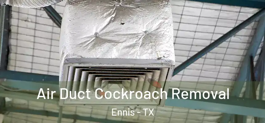  Air Duct Cockroach Removal Ennis - TX