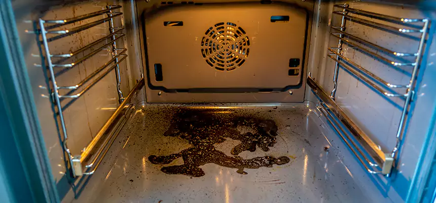 Our Dryer Vent Mold Cleaning Services in Ennis, TX