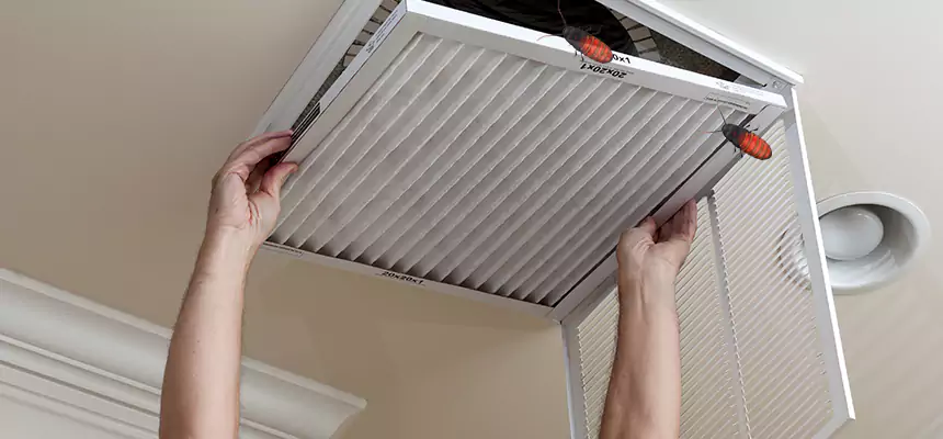 Our Insect Removal from Air Ducts Services in Ennis, TX