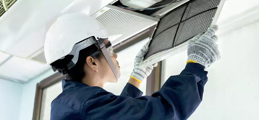 Our Mold & Mildew Removal from Air Ducts Services in Ennis, TX