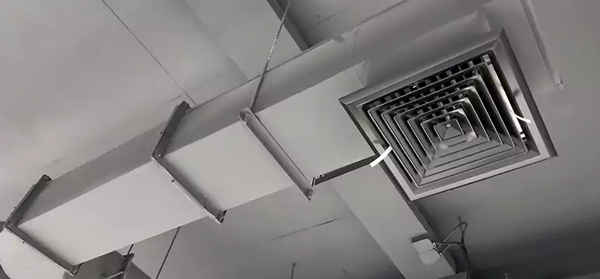 Our Pest Removal From Ducts Services in Ennis, TX