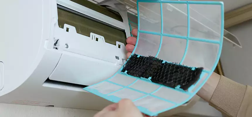 Gentle Ductwork Odor-Control Pet Dander Duct Cleaning in Ennis, TX