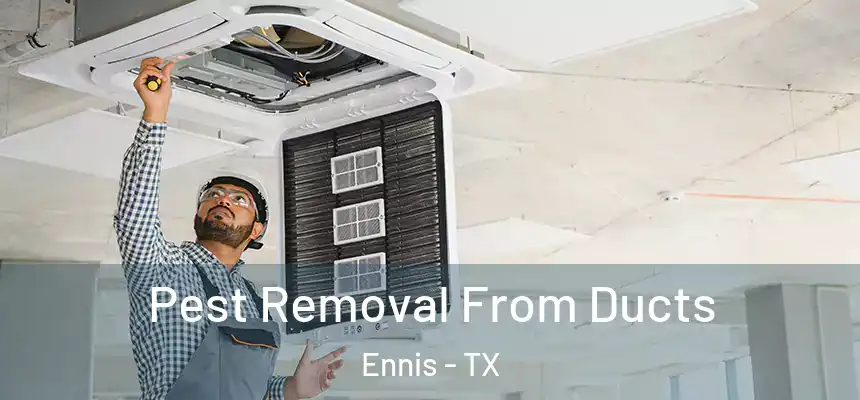  Pest Removal From Ducts Ennis - TX