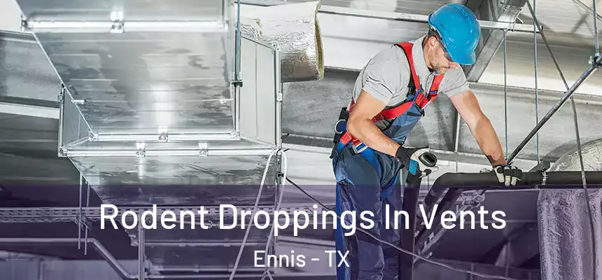  Rodent Droppings In Vents Ennis - TX
