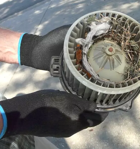 About Air Duct Mice Removal in Ennis, TX