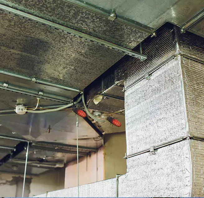 Why Homeowners & Businesses Trust Us in Ennis, TX?