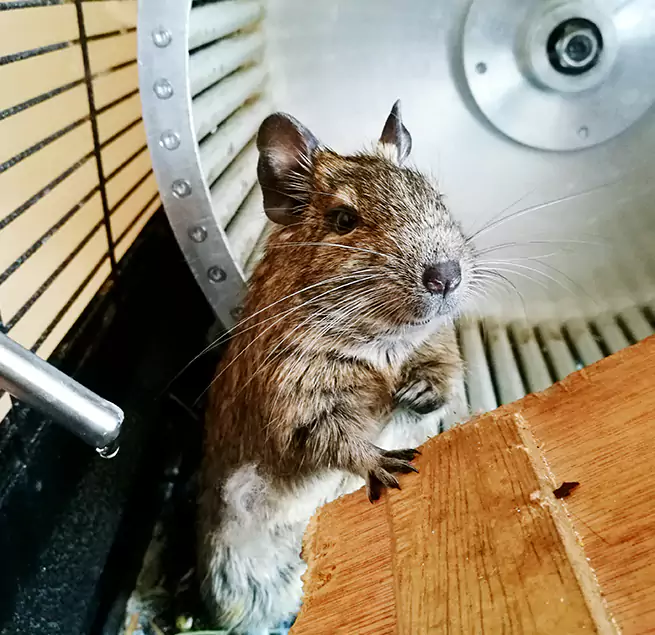 Why Homeowners & Businesses Trust Us Ennis, TX